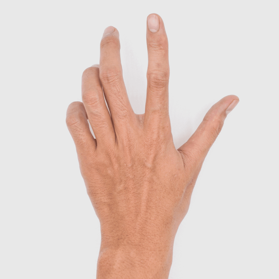 Main aux doigts fléchissants